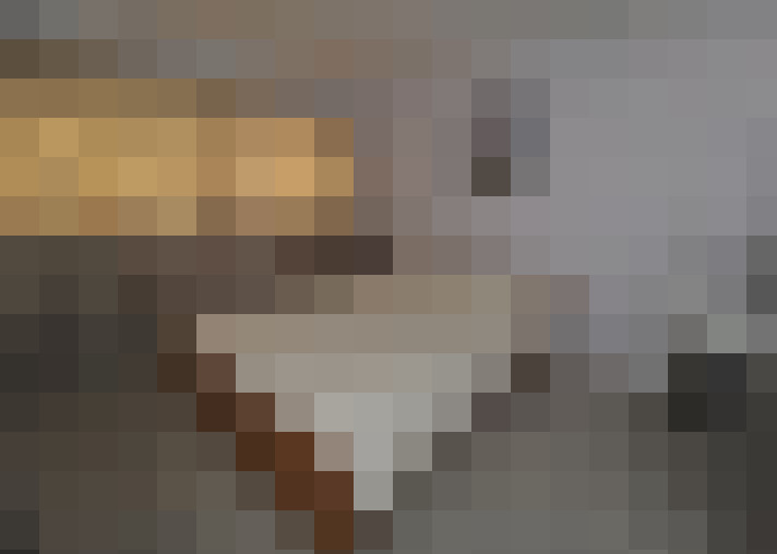  / #14
