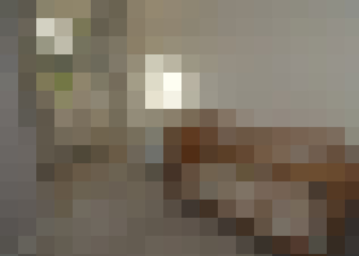  / #16