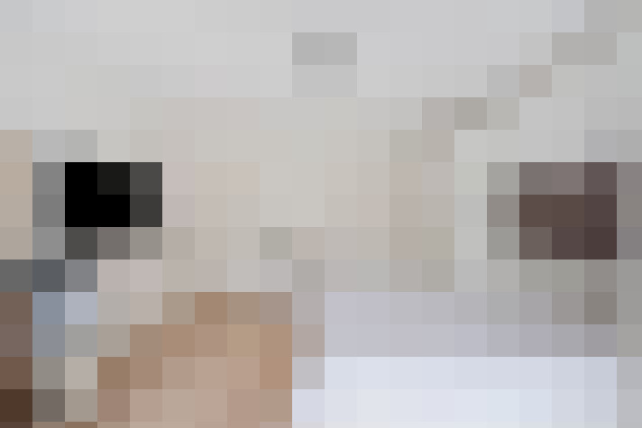  / #26