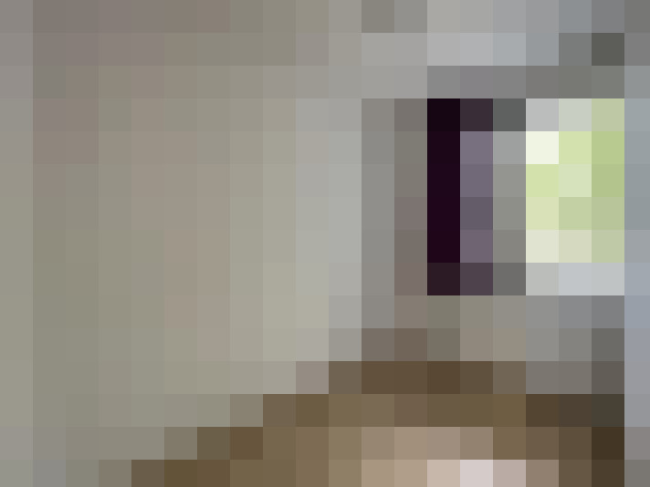  / #21