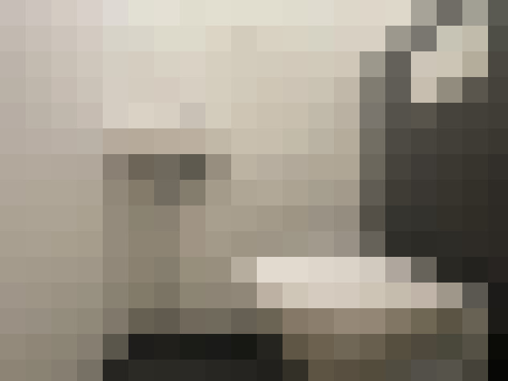  / #15