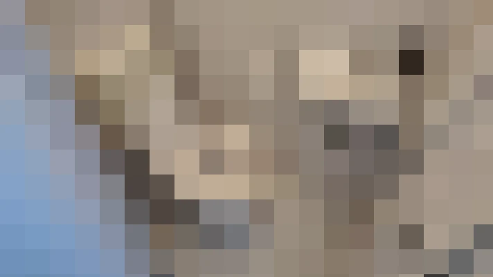  / #13