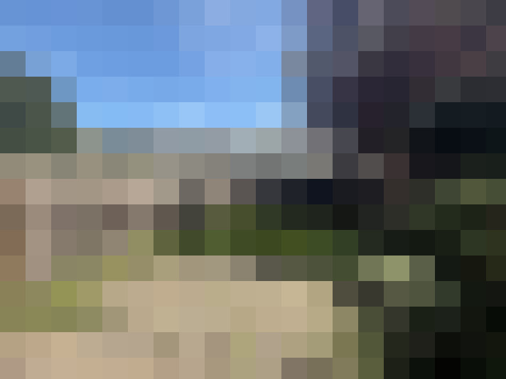  / #61