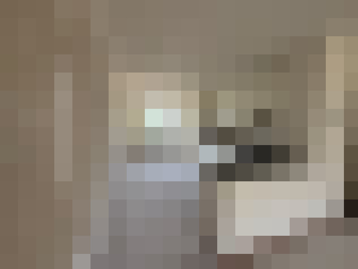  / #26