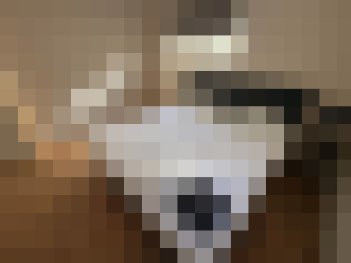  / #32