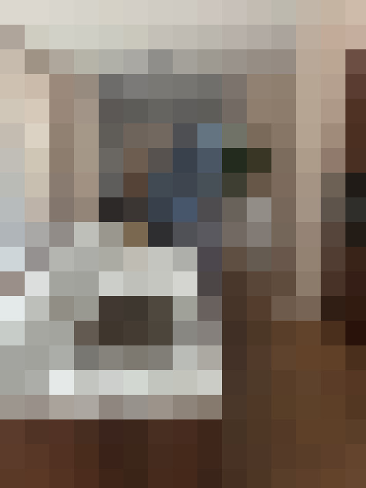  / #15