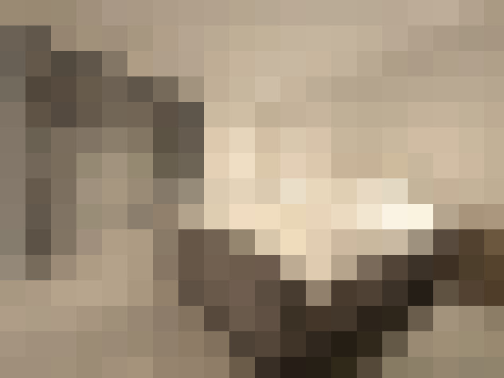  / #43