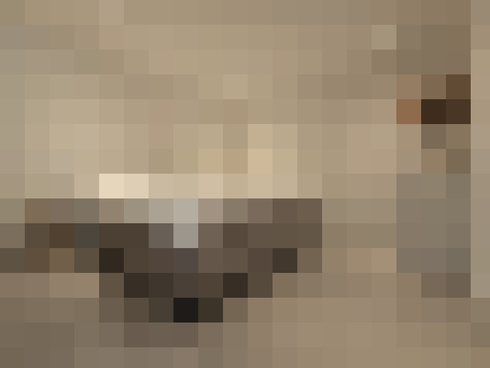  / #39