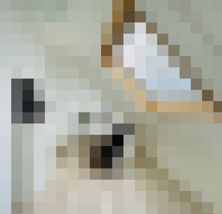  / #21