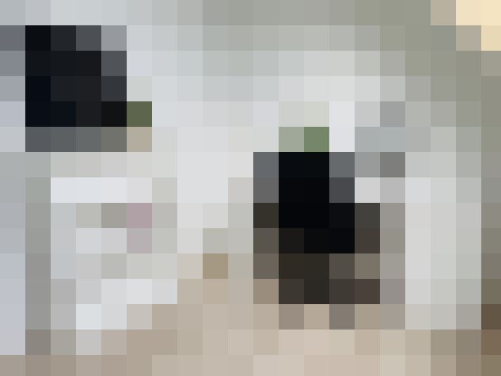  / #20
