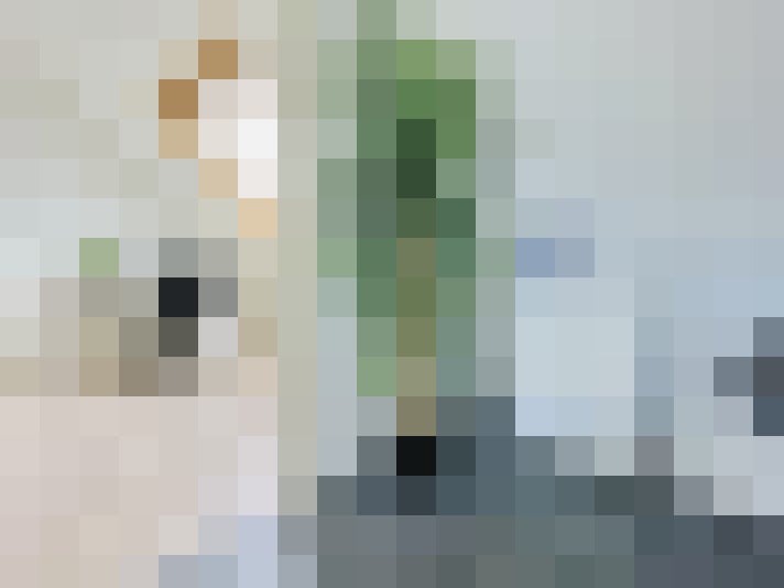  / #17