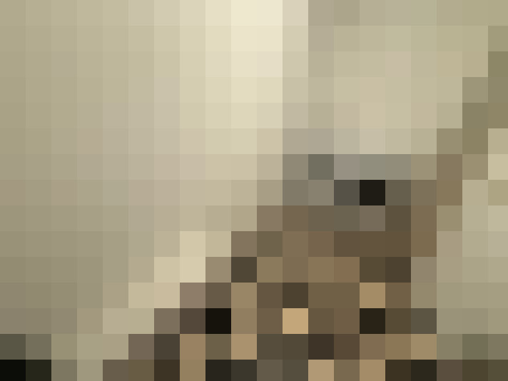  / #17