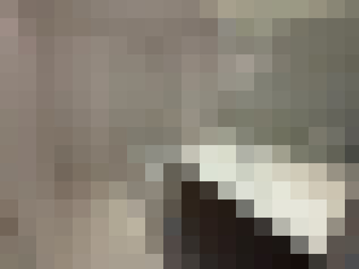  / #12