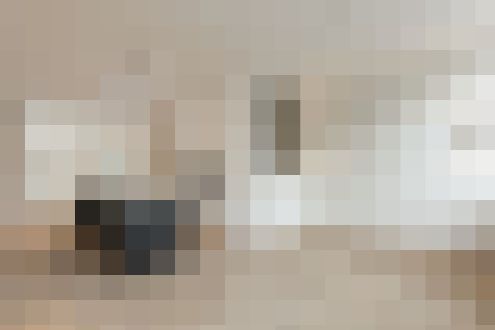  / #23