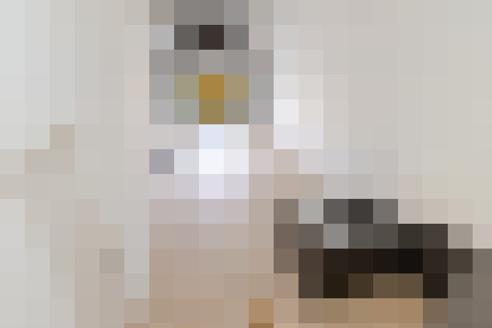  / #13