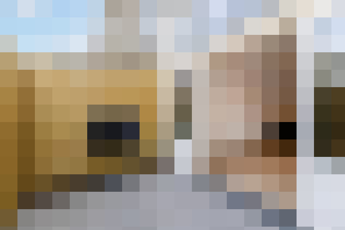  / #16