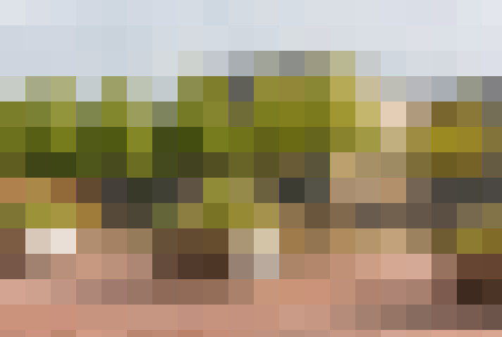  / #18