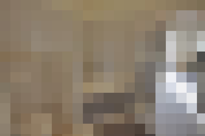  / #17