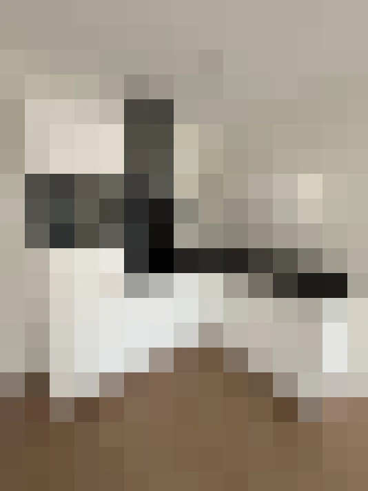  / #14