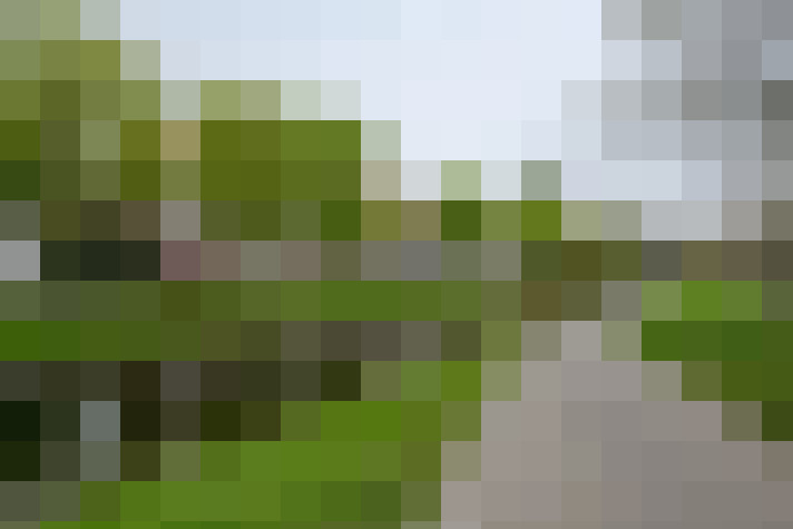  / #13