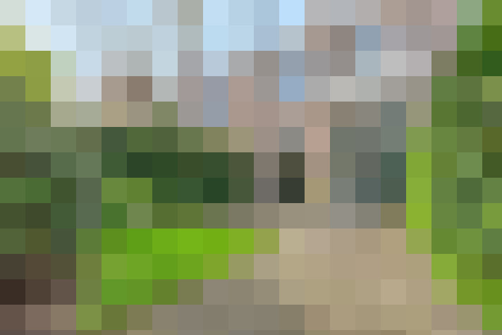  / #46