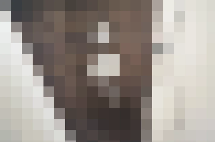  / #23