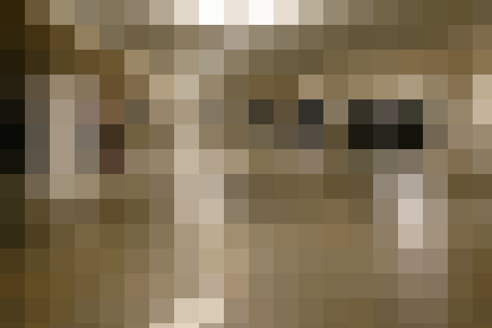  / #19