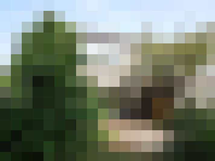  / #7