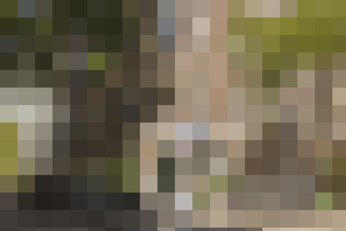  / #15