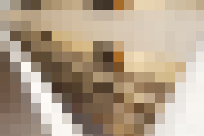  / #18