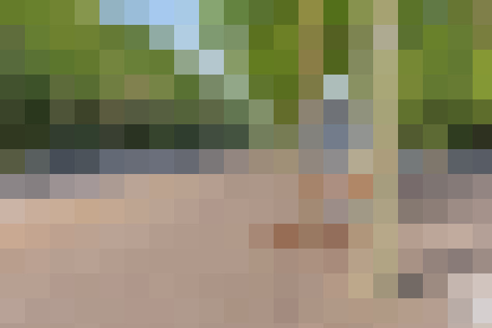  / #21