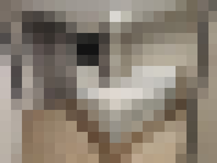  / #17