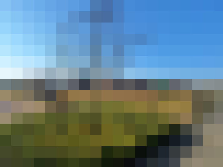  / #7