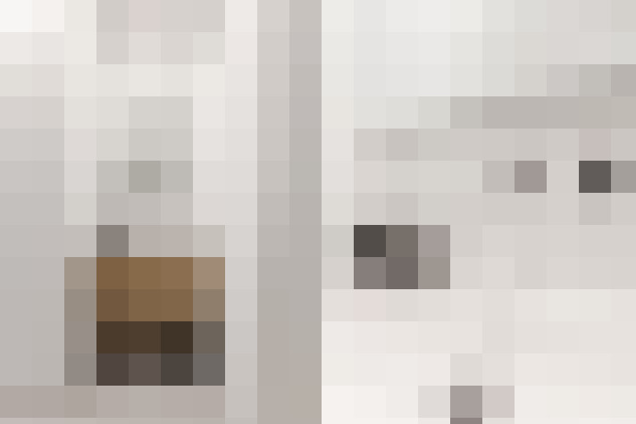  / #21