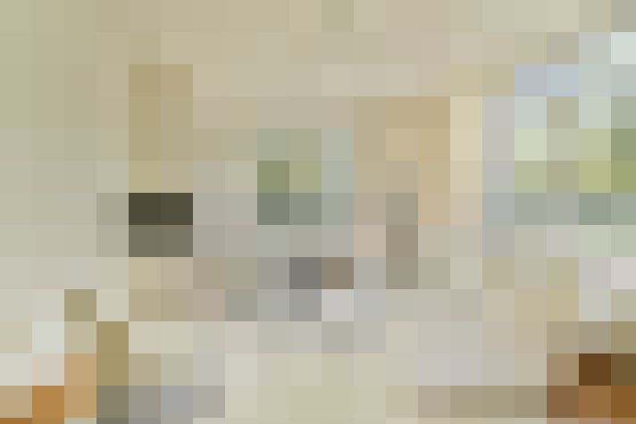  / #18