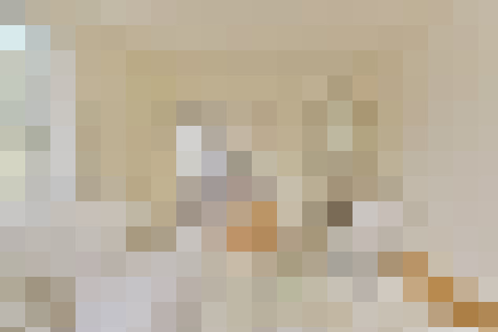  / #20