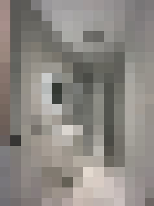 / #8