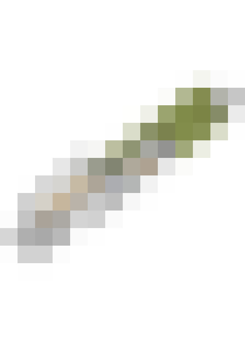  / #31