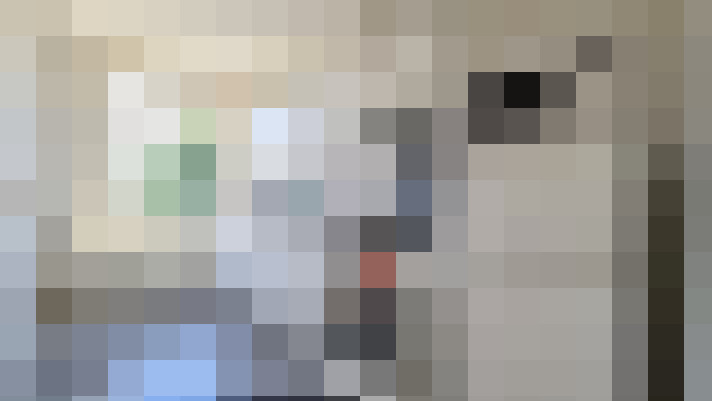  / #16