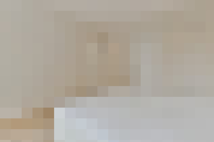  / #24
