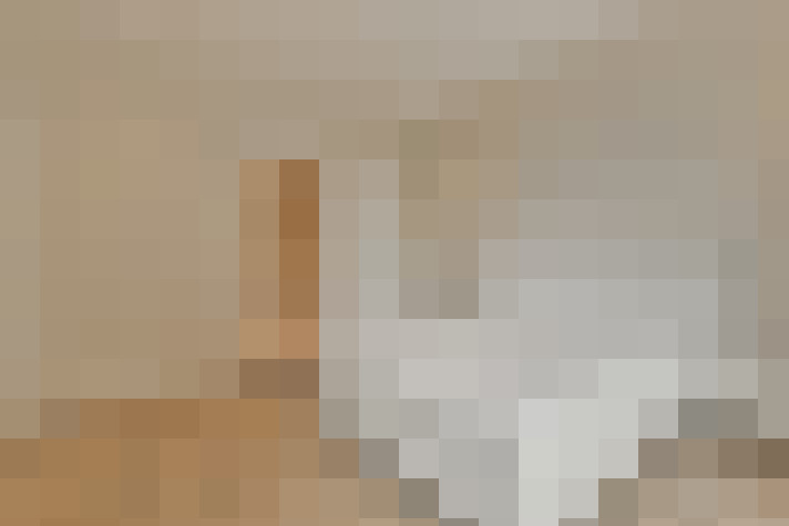 / #22