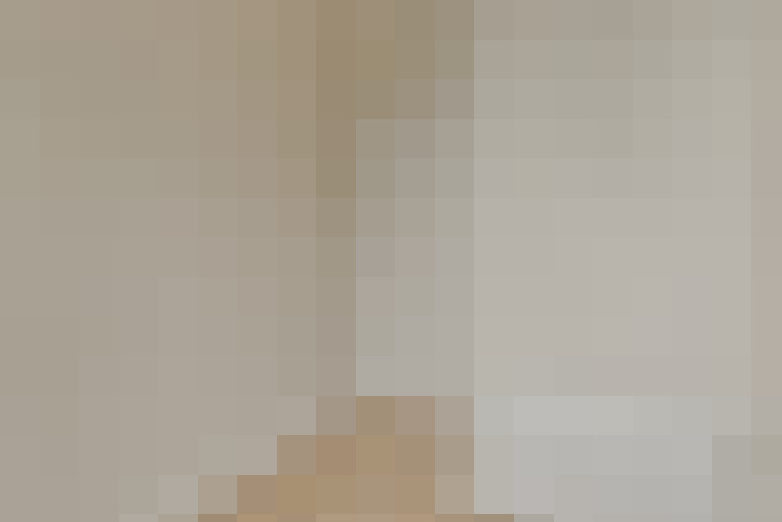  / #26