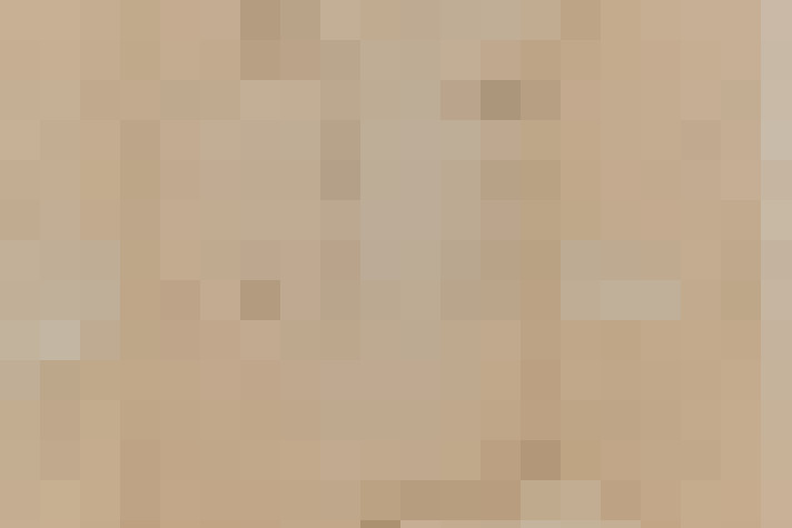  / #21