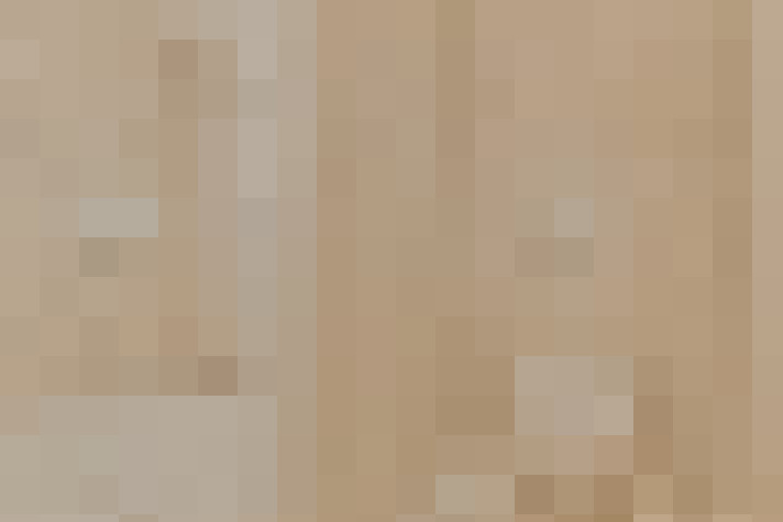  / #20