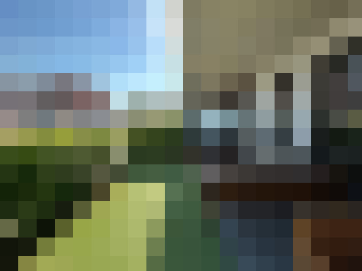  / #13