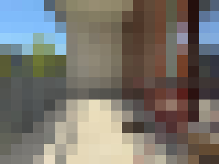  / #8