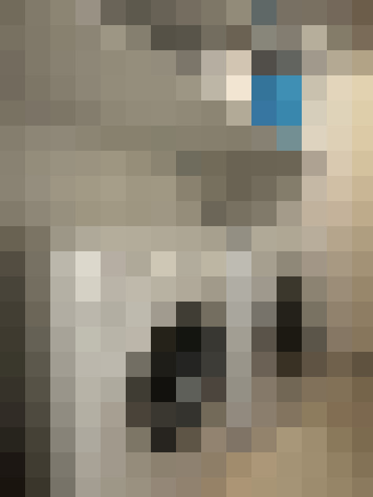  / #19