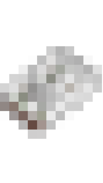  / #55