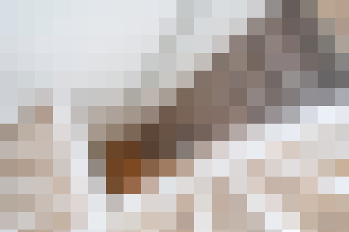  / #16