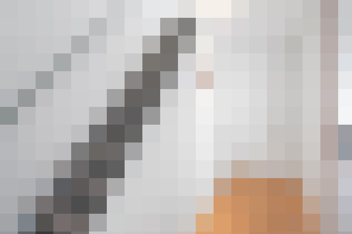  / #13